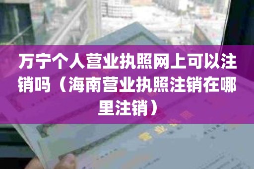 万宁个人营业执照网上可以注销吗（海南营业执照注销在哪里注销）