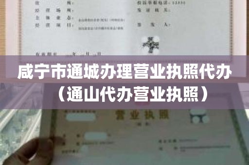 咸宁市通城办理营业执照代办（通山代办营业执照）