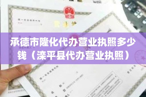 承德市隆化代办营业执照多少钱（滦平县代办营业执照）