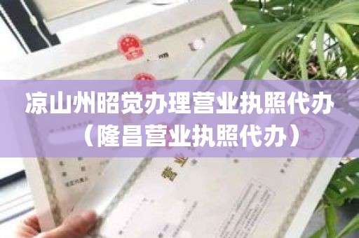 凉山州昭觉办理营业执照代办（隆昌营业执照代办）