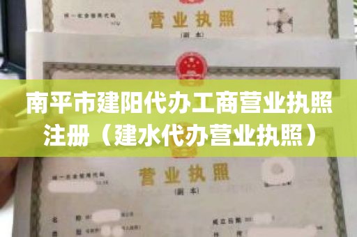 南平市建阳代办工商营业执照注册（建水代办营业执照）