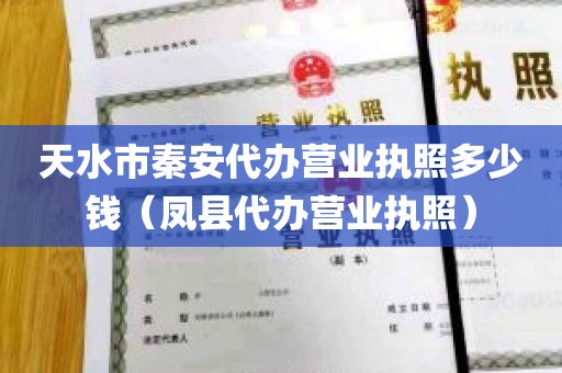 天水市秦安代办营业执照多少钱（凤县代办营业执照）