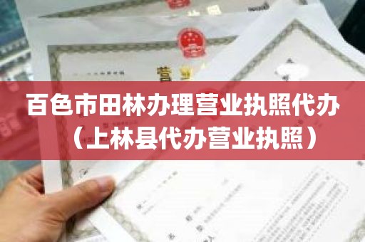 百色市田林办理营业执照代办（上林县代办营业执照）