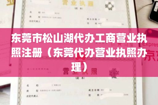 东莞市松山湖代办工商营业执照注册（东莞代办营业执照办理）