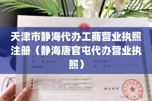 天津市静海代办工商营业执照注册（静海唐官屯代办营业执照）