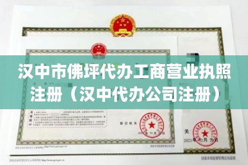 汉中市佛坪代办工商营业执照注册（汉中代办公司注册）