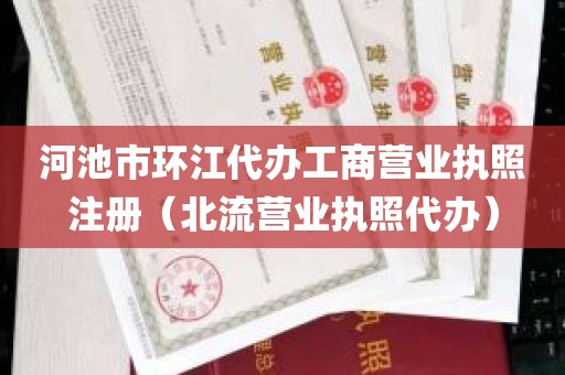 河池市环江代办工商营业执照注册（北流营业执照代办）