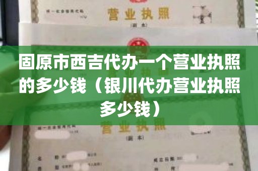 固原市西吉代办一个营业执照的多少钱（银川代办营业执照多少钱）