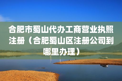 合肥市蜀山代办工商营业执照注册（合肥蜀山区注册公司到哪里办理）