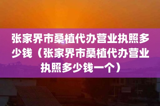 张家界市桑植代办营业执照多少钱（张家界市桑植代办营业执照多少钱一个）