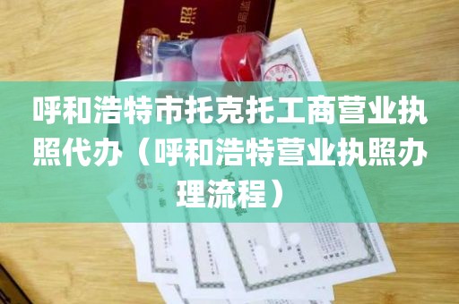 呼和浩特市托克托工商营业执照代办（呼和浩特营业执照办理流程）