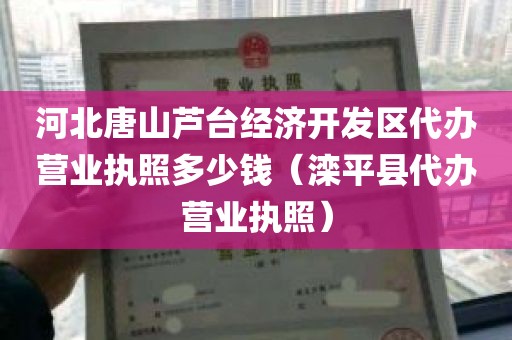 河北唐山芦台经济开发区代办营业执照多少钱（滦平县代办营业执照）