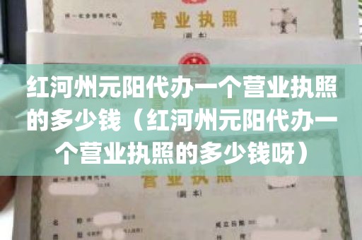 红河州元阳代办一个营业执照的多少钱（红河州元阳代办一个营业执照的多少钱呀）