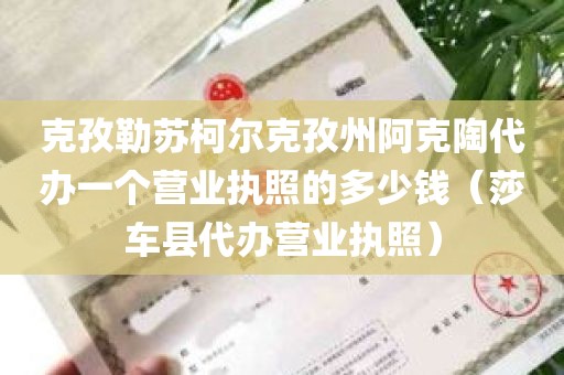 克孜勒苏柯尔克孜州阿克陶代办一个营业执照的多少钱（莎车县代办营业执照）