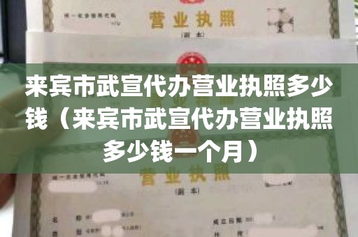 来宾市武宣代办营业执照多少钱（来宾市武宣代办营业执照多少钱一个月）