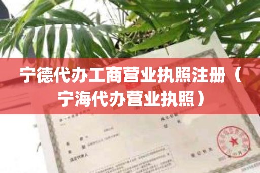 宁德代办工商营业执照注册（宁海代办营业执照）