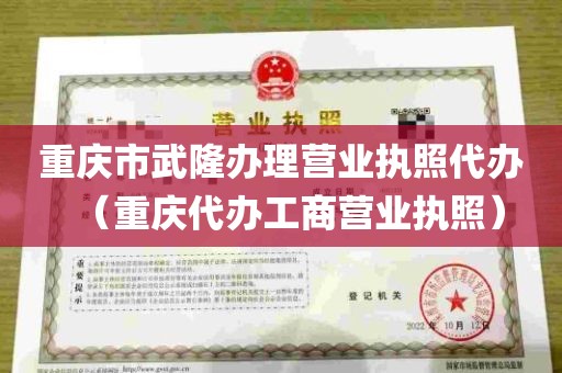 重庆市武隆办理营业执照代办（重庆代办工商营业执照）