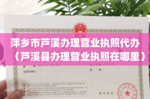 萍乡市芦溪办理营业执照代办（芦溪县办理营业执照在哪里）