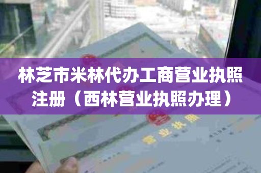 林芝市米林代办工商营业执照注册（西林营业执照办理）