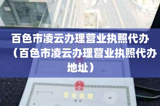 百色市凌云办理营业执照代办（百色市凌云办理营业执照代办地址）