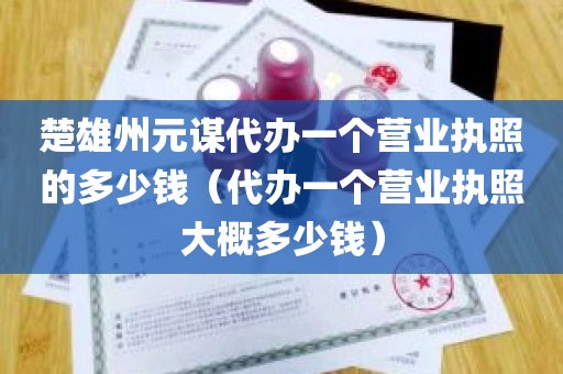 楚雄州元谋代办一个营业执照的多少钱（代办一个营业执照大概多少钱）