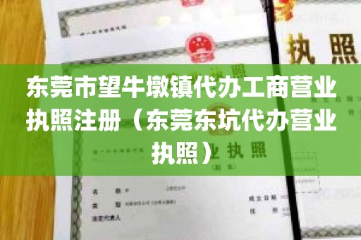 东莞市望牛墩镇代办工商营业执照注册（东莞东坑代办营业执照）