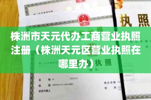 株洲市天元代办工商营业执照注册（株洲天元区营业执照在哪里办）