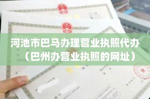 河池市巴马办理营业执照代办（巴州办营业执照的网址）