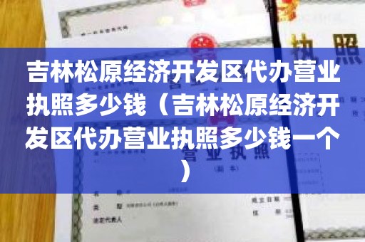 吉林松原经济开发区代办营业执照多少钱（吉林松原经济开发区代办营业执照多少钱一个）