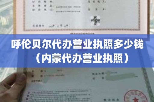 呼伦贝尔代办营业执照多少钱（内蒙代办营业执照）