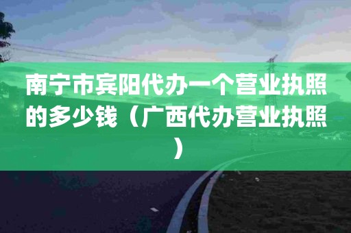 南宁市宾阳代办一个营业执照的多少钱（广西代办营业执照）