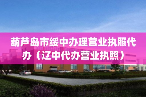 葫芦岛市绥中办理营业执照代办（辽中代办营业执照）