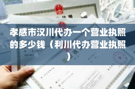 孝感市汉川代办一个营业执照的多少钱（利川代办营业执照）