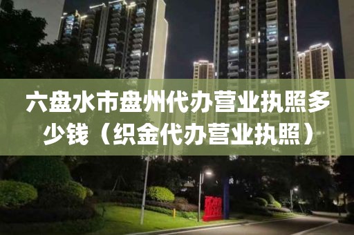 六盘水市盘州代办营业执照多少钱（织金代办营业执照）