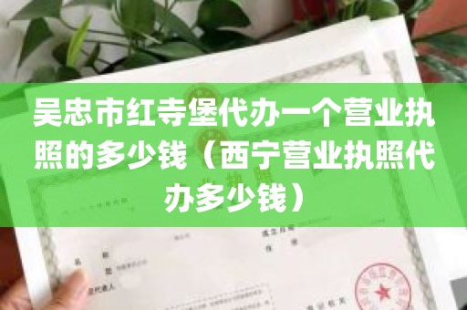 吴忠市红寺堡代办一个营业执照的多少钱（西宁营业执照代办多少钱）