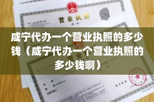 咸宁代办一个营业执照的多少钱（咸宁代办一个营业执照的多少钱啊）