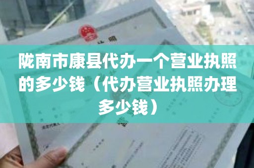 陇南市康县代办一个营业执照的多少钱（代办营业执照办理多少钱）