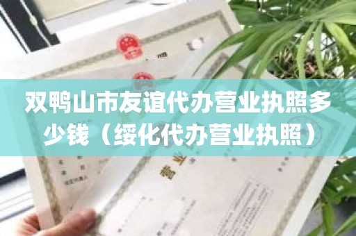 双鸭山市友谊代办营业执照多少钱（绥化代办营业执照）