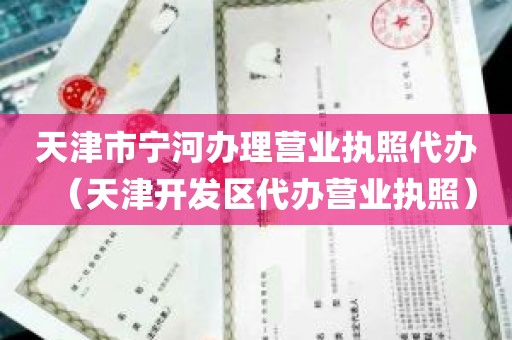 天津市宁河办理营业执照代办（天津开发区代办营业执照）