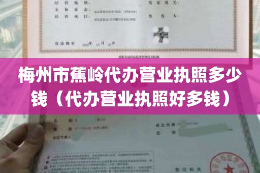 梅州市蕉岭代办营业执照多少钱（代办营业执照好多钱）