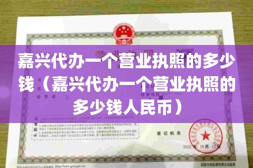 嘉兴代办一个营业执照的多少钱（嘉兴代办一个营业执照的多少钱人民币）