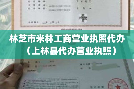 林芝市米林工商营业执照代办（上林县代办营业执照）