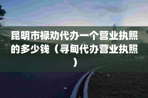 昆明市禄劝代办一个营业执照的多少钱（寻甸代办营业执照）