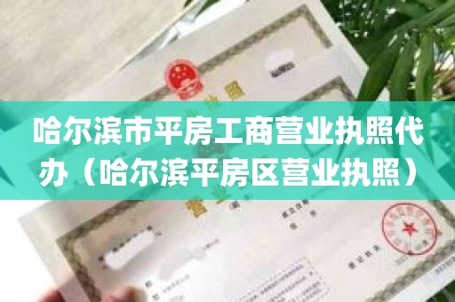 哈尔滨市平房工商营业执照代办（哈尔滨平房区营业执照）