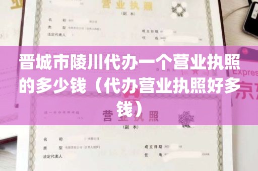 晋城市陵川代办一个营业执照的多少钱（代办营业执照好多钱）