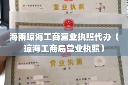 海南琼海工商营业执照代办（琼海工商局营业执照）