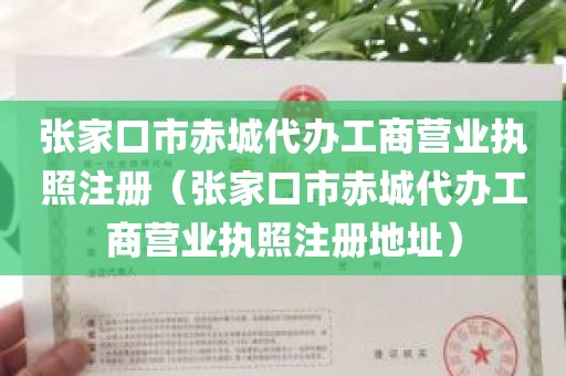 张家口市赤城代办工商营业执照注册（张家口市赤城代办工商营业执照注册地址）