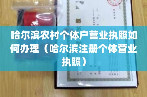 哈尔滨农村个体户营业执照如何办理（哈尔滨注册个体营业执照）