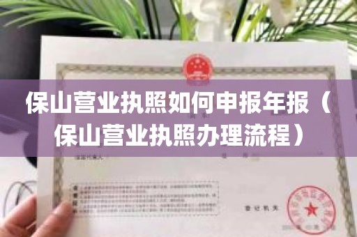 保山营业执照如何申报年报（保山营业执照办理流程）