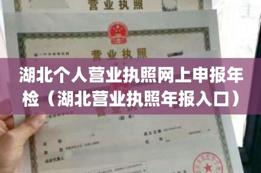 湖北个人营业执照网上申报年检（湖北营业执照年报入口）